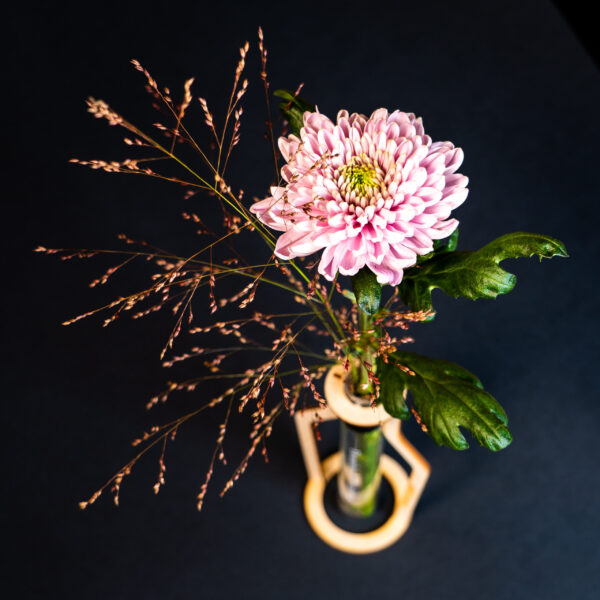 vaasjewijn wijn & chocolade